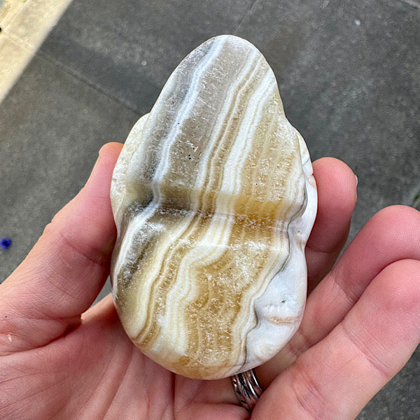 calciet zebra human skull schedel lichtwezen grijs oranje wit