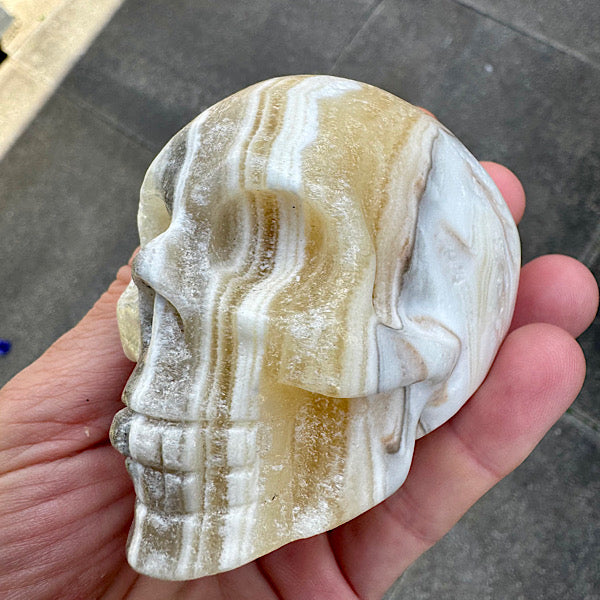 calciet zebra human skull schedel lichtwezen grijs oranje wit