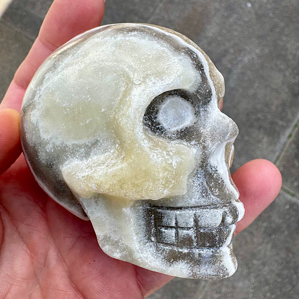 calciet zebra human skull schedel lichtwezen grijs oranje wit