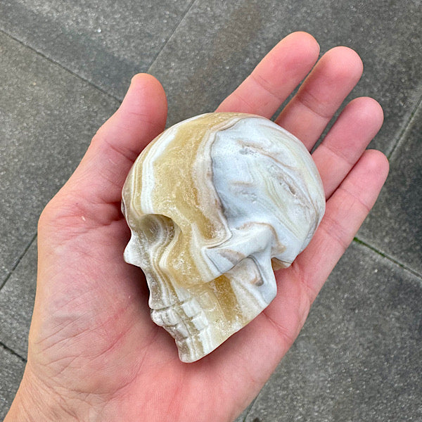 calciet zebra human skull schedel lichtwezen grijs oranje wit