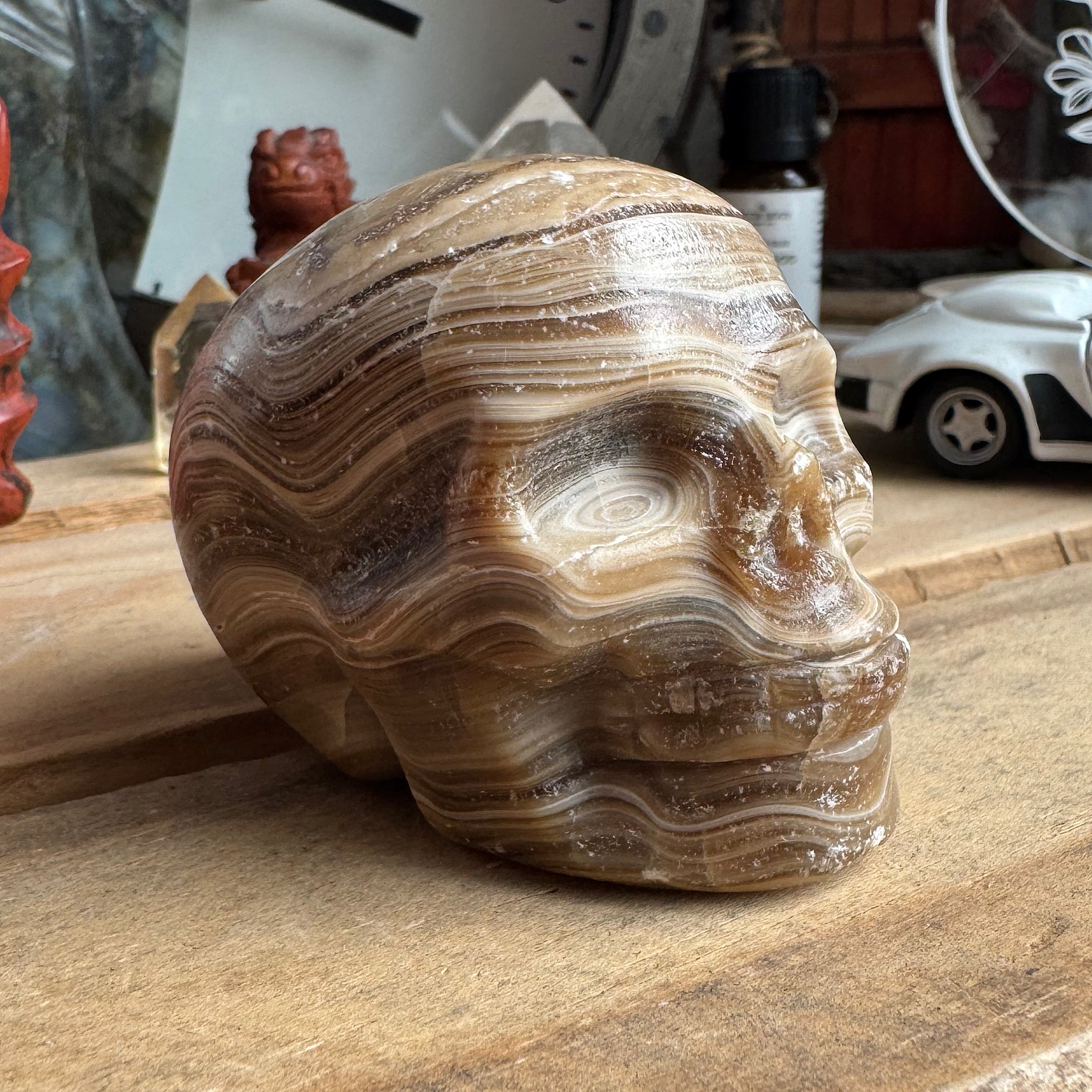 zijkant calciet chocolade human schedel aragoniet
