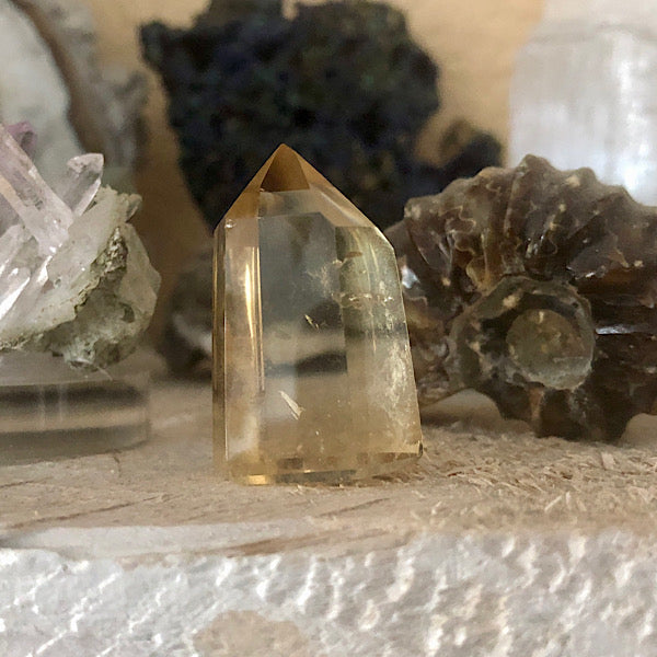 citrien gepolijst punt klein edelstenen mineralen winkel kristallen