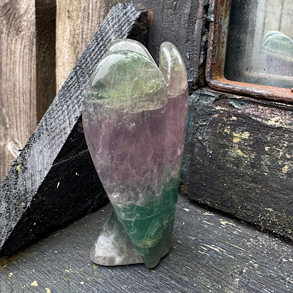 fluoriet regenboog engel gepolijst groen paars