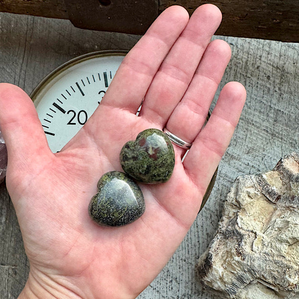 heliotroop drakenbloed hart klein