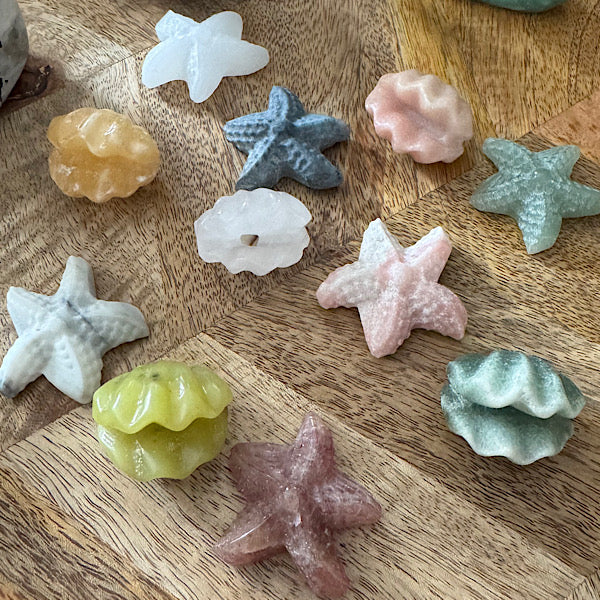 jaspis kwarts schelp en ster gepolijst edelstenenmineralenwinkel.nl