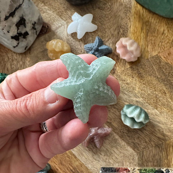 Jaspis Zee Schelp en Ster