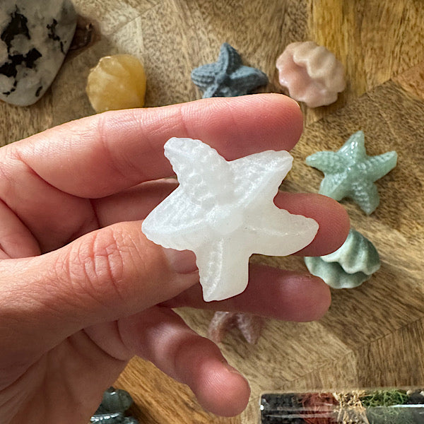 Jaspis Zee Schelp en Ster