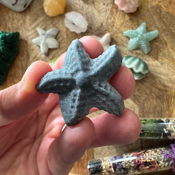 Jaspis Zee Schelp en Ster