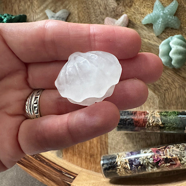 Jaspis Zee Schelp en Ster