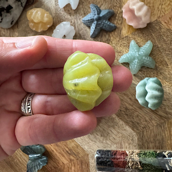 Jaspis Zee Schelp en Ster