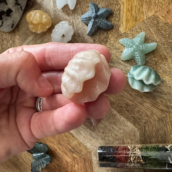 Jaspis Zee Schelp en Ster