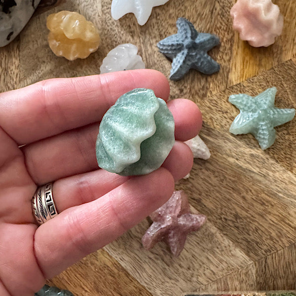 Jaspis Zee Schelp en Ster