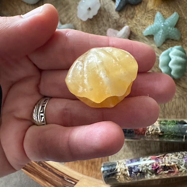 Jaspis Zee Schelp en Ster