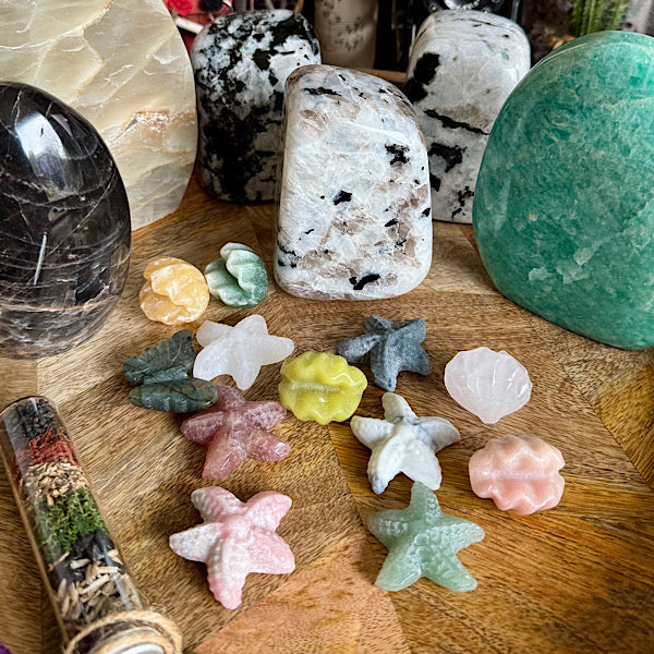 jaspis kwarts schelp en ster gepolijst