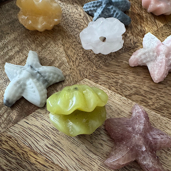 jaspis kwarts schelp en ster gepolijst