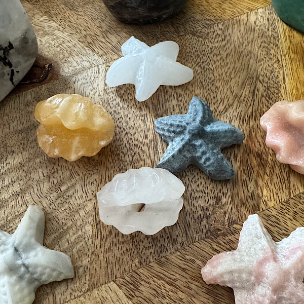 jaspis kwarts schelp en ster gepolijst