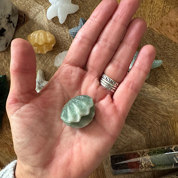 jaspis kwarts schelp en ster gepolijst