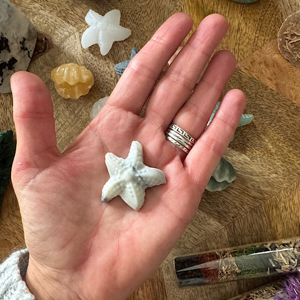 jaspis kwarts schelp en ster gepolijst