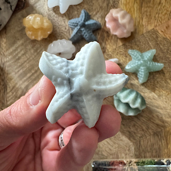 Jaspis Zee Schelp en Ster