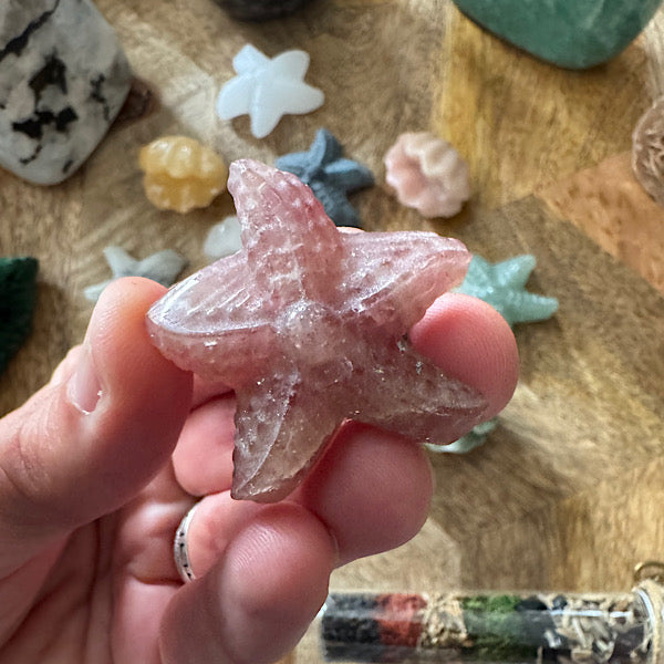 Jaspis Zee Schelp en Ster