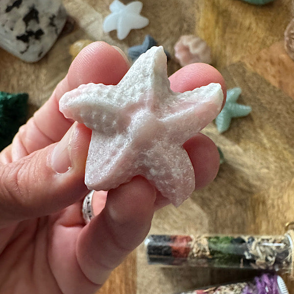 Jaspis Zee Schelp en Ster