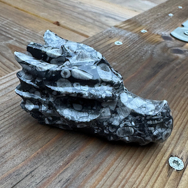 jaspis schelpen draken schedel skull