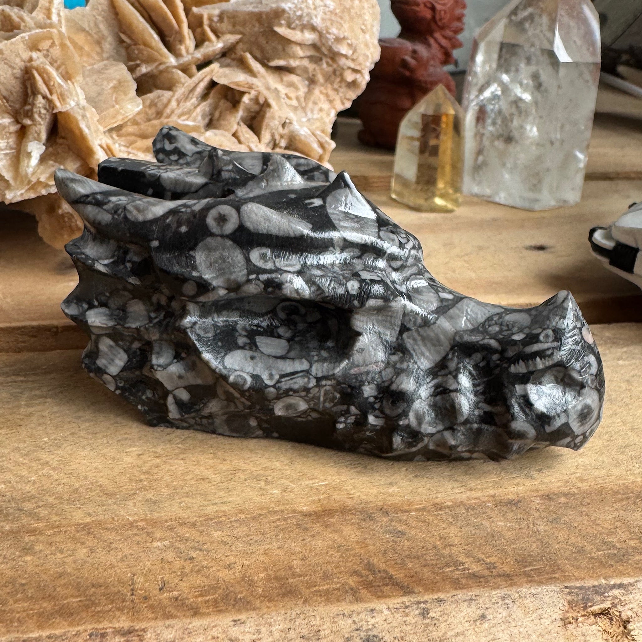 jaspis schelpen drakenschedel skull