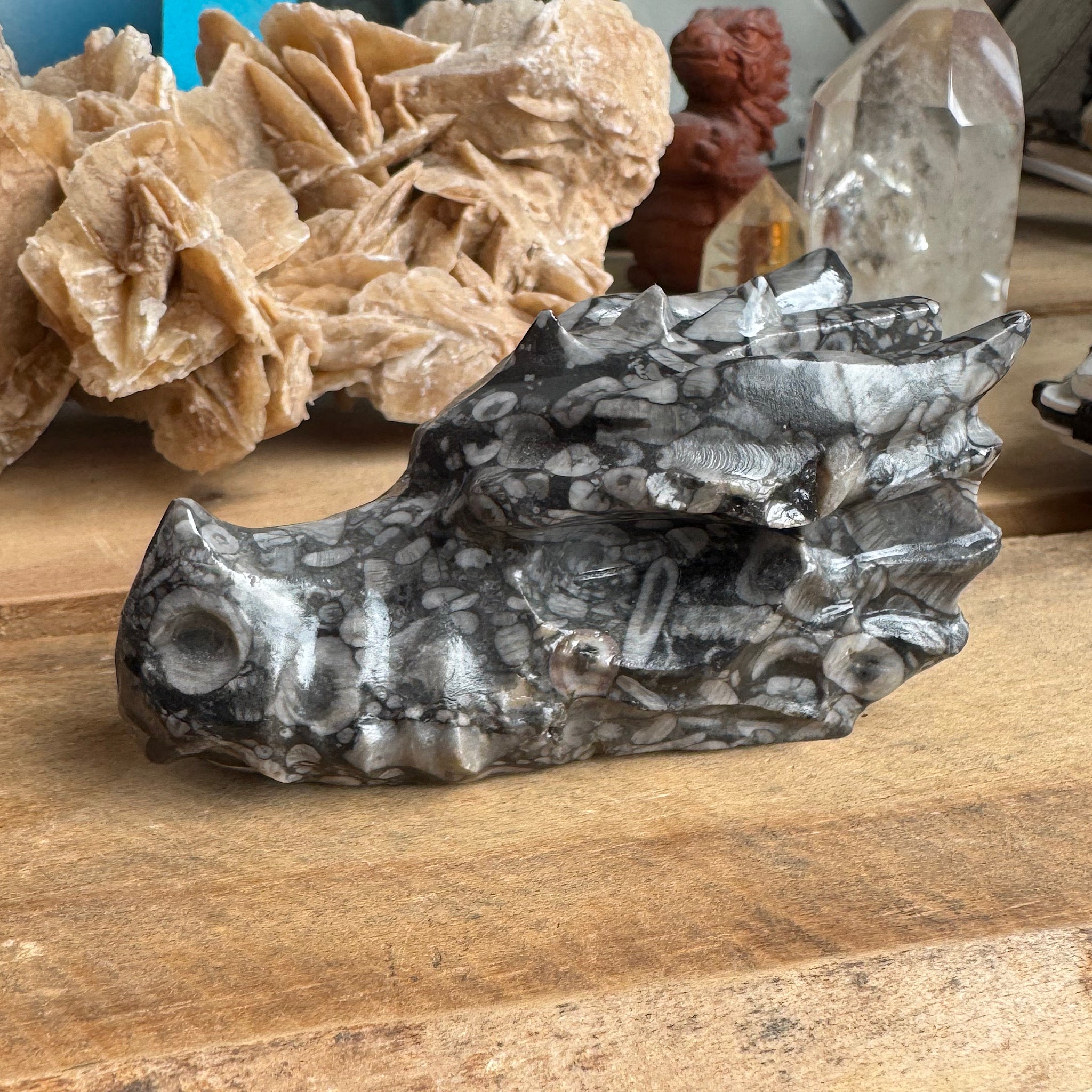 zijkant van jaspis schelp draken schedel skull