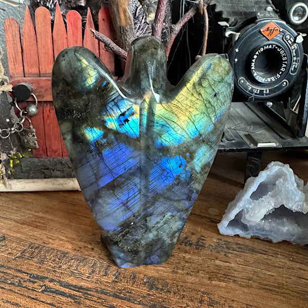 labradoriet engel groot gepolijst