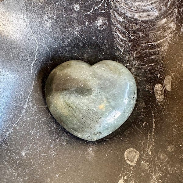 labradoriet hart klein gepolijst A