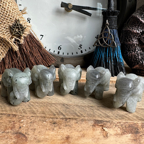 labradoriet olifant klein gepolijst edelstenen mineralen winkel