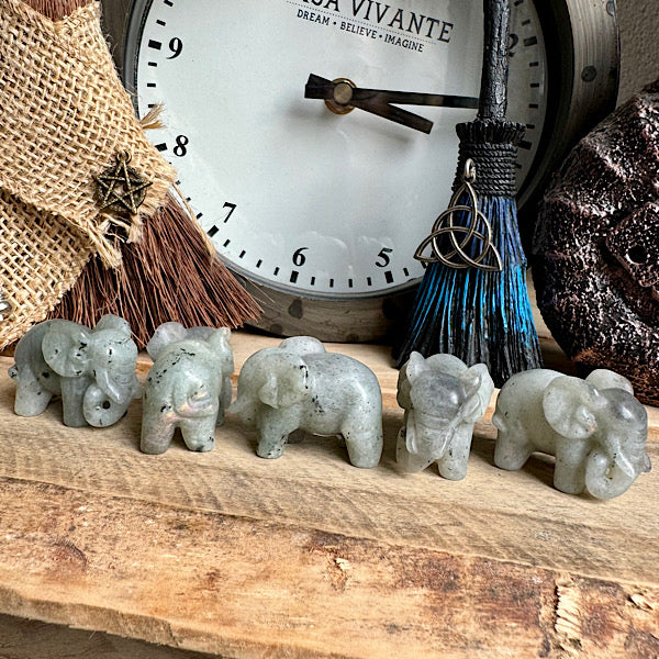 labradoriet olifant klein gepolijst edelstenen mineralen winkel