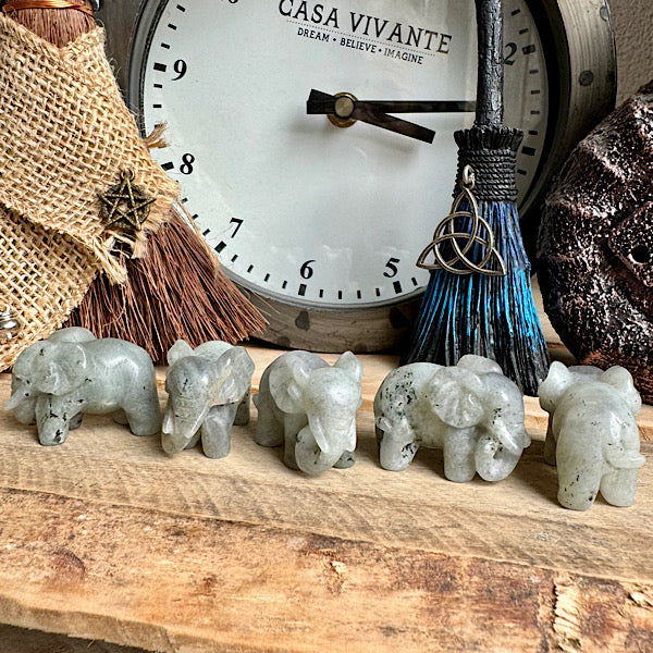 labradoriet olifant klein gepolijst edelstenen mineralen winkel