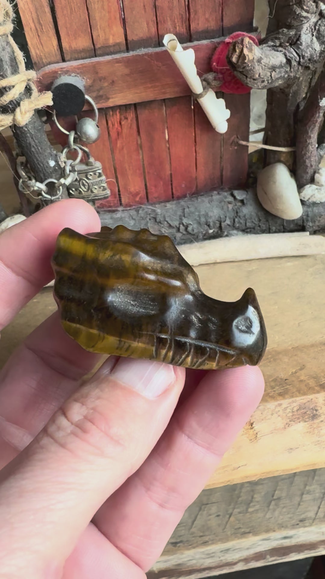 video van een edelsteen tijgeroog drakenschedel