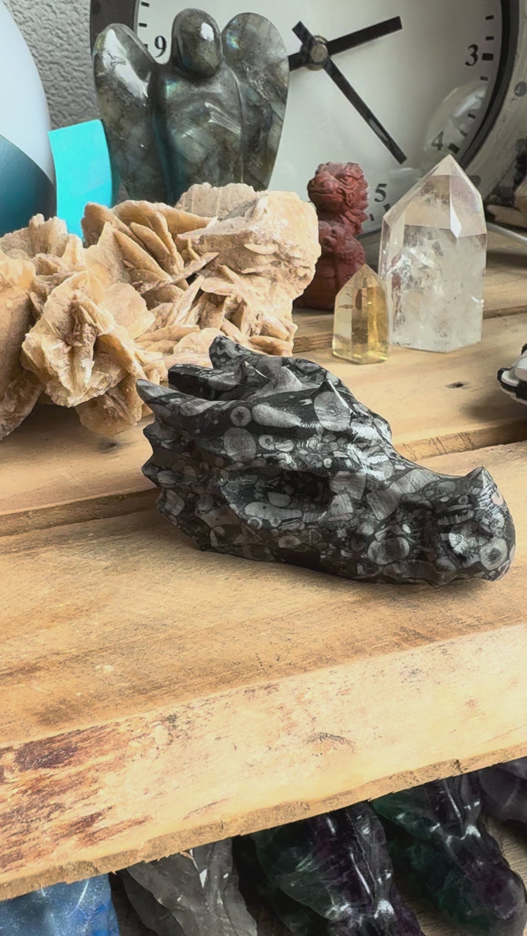 video jaspis schelp draken schedel skull