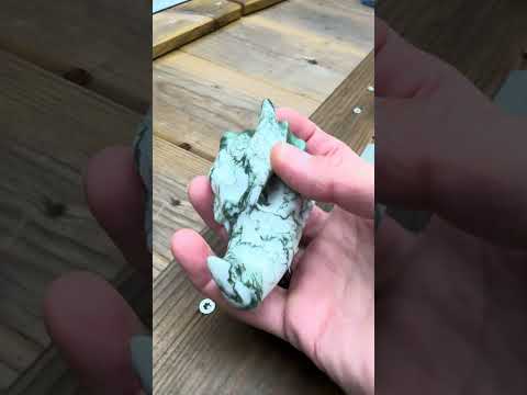 Allernieuwste Draken Schedels en Skulls