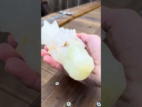 Allernieuwste Draken Schedels en Skulls