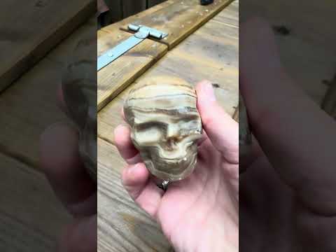 Allernieuwste Draken Schedels en Skulls