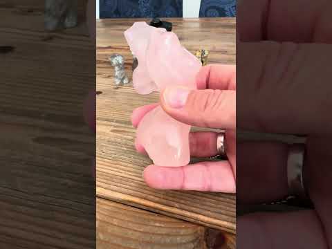 RozeKwarts of RozenKwarts Dames Torso