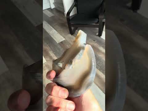 Plak Agaat Druzy Wolf huilen naar Maan