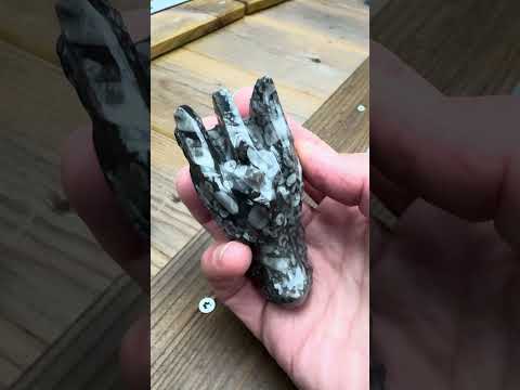 Allernieuwste Draken Schedels en Skulls