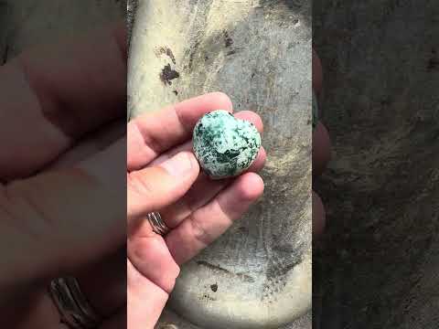 Hart Agaat Boom Klein