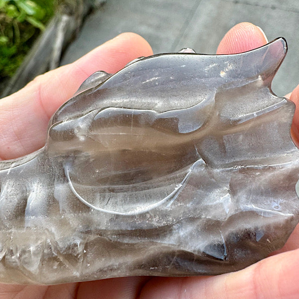 rookkwarts draken schedel dragon skull