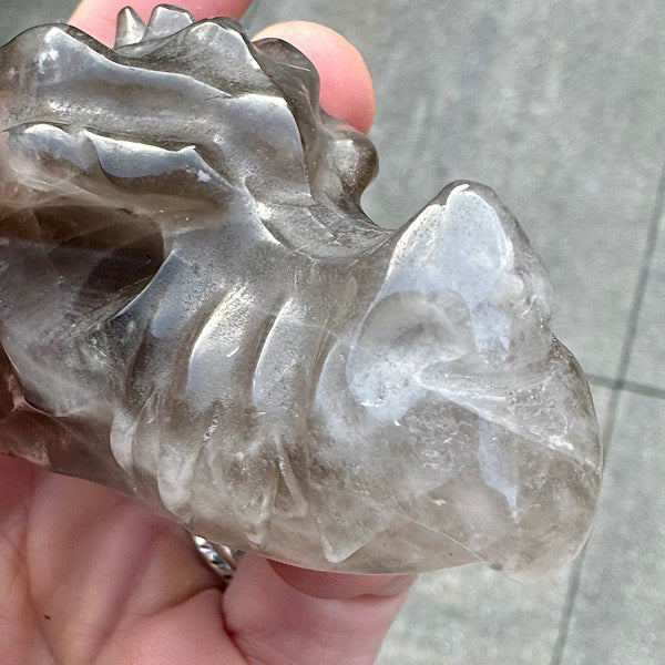 rookkwarts draken schedel dragon skull