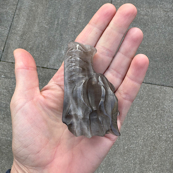 rookkwarts draken schedel dragon skull