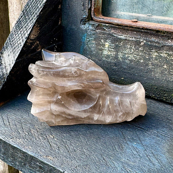 rookkwarts draken schedel dragon skull