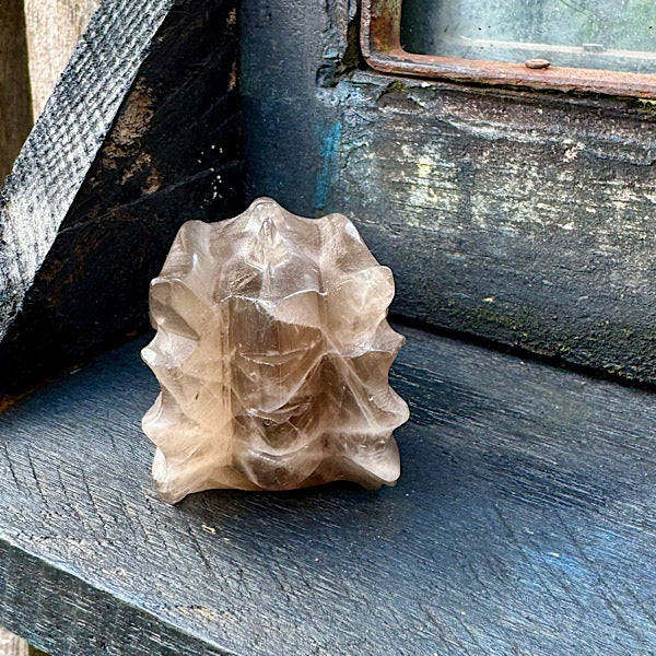 rookkwarts draken schedel dragon skull