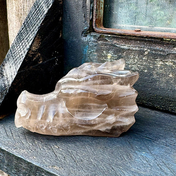 rookkwarts draken schedel dragon skull