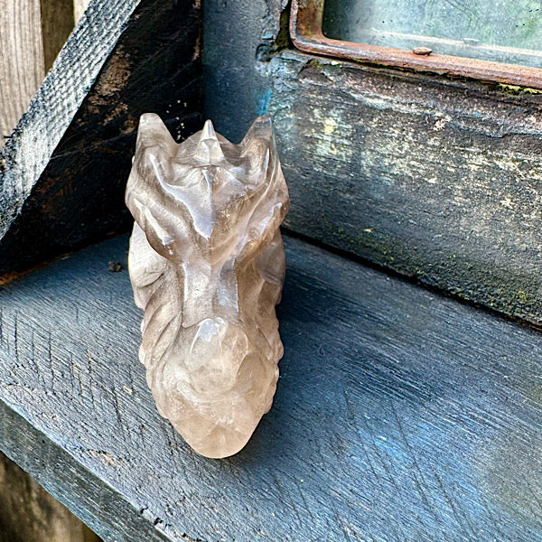 rookkwarts draken schedel dragon skull