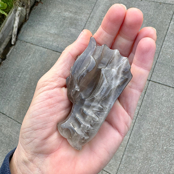 rookkwarts draken schedel dragon skull